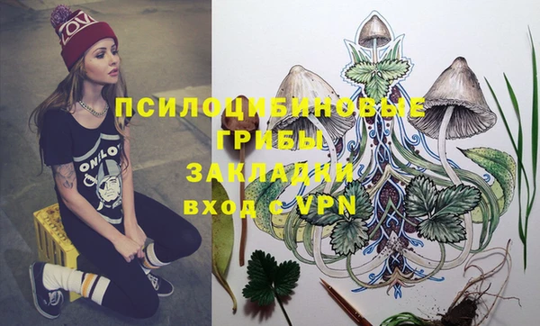 мяу мяу кристалл Новозыбков