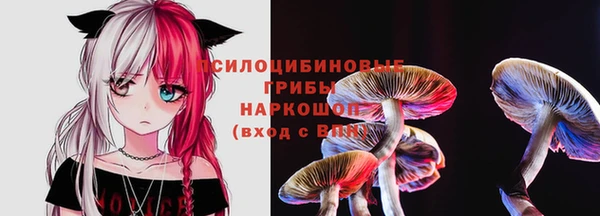 ALPHA-PVP Новодвинск